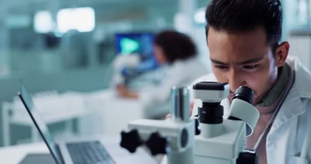 보고서 피드백을 현미경을 사용하거나 실험실에서 연구하는 노트북 타이핑 과학자 박테리아 — 비디오