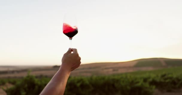 葡萄酒 农场和人手中拿着杯子 在自然日落时洒上红葡萄酒 酒精或饮料 葡萄园 酿酒厂或土司庆祝活动 夏季或乡村奢华的品酒会 还有天空的模仿 — 图库视频影像