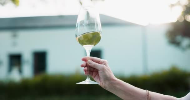 Wirować Wino Osoba Szklanką Ręku Aby Doświadczyć Luksusowego Alkoholu Lub — Wideo stockowe