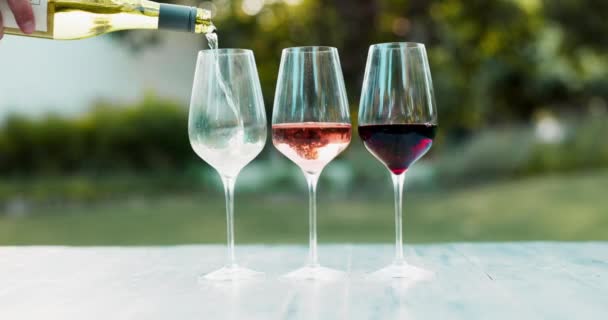 Wino Kieliszki Alkohol Degustacji Winnicy Osoba Świeżym Powietrzu Wylewa Się — Wideo stockowe