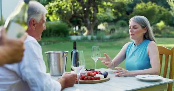 Cuplu Vârstă Charcuterie Vin Pentru Picnic Aniversare Sau Întâlnire Împreună — Videoclip de stoc