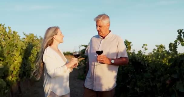 Senior Cuplu Vin Aer Liber Podgorie Bucurii Fericire Îmbrățișare Pentru — Videoclip de stoc