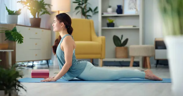 Exercise woman, yoga stretching and home fitness in living room floor for wellness, balance training and strong body. Healthy lady, pilates focus and flexible cobra workout training in house lounge.