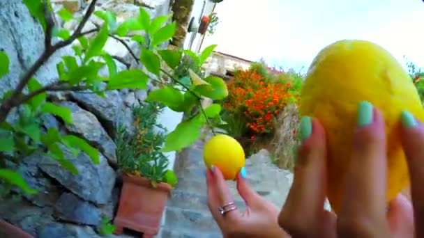 姑娘们 在意大利度假的时候去探险和开花吧 快乐的带着水果去探险吧 女人在一起 一起享受与树的快乐假期 一起写旅行博客 并以手牵手的动作排列顺序 — 图库视频影像