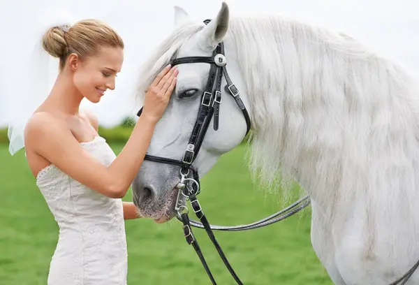 Bride, field and horse with face, happiness and smile for nature, connection and celebration. Woman, animal and uk countryside for wedding, love and beauty with summer, meadow and horse riding.