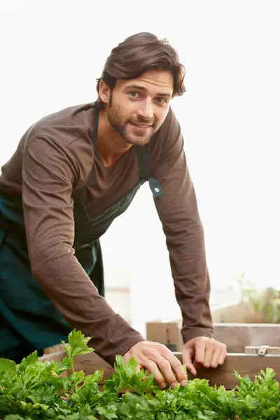 Portrait, gardener and smile with vegetables in box for cultivation, harvest or growth in greenhouse. Man, happy and agriculture in nursery for development, gather or picking of organic produce.
