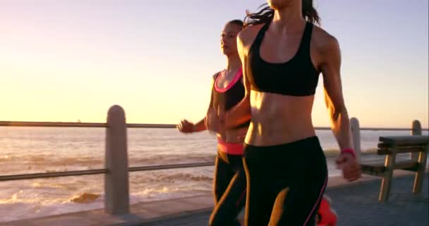 Nők Futás Naplemente Strandon Edzés Fitness Wellness Kardió Edzés Városban — Stock videók