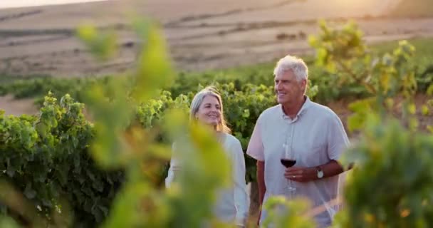 Altes Paar Wandern Weinberg Und Wein Freien Zur Verkostung Liebe — Stockvideo