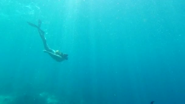 Mujer Bucear Nadar Los Arrecifes Coral Océano Luz Del Sol — Vídeos de Stock