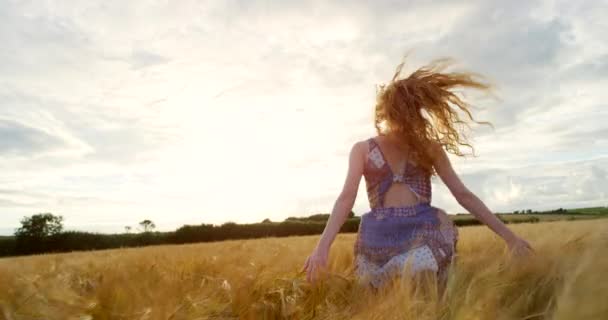 Радісна Жінка Поле Біг Пшеницею Свободою Природою Заради Радості Пригод — стокове відео