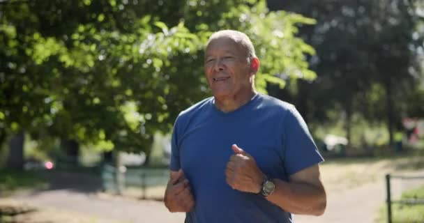 自然の中で運動 健康的な心臓のトレーニングのために公園で成熟した 男と走る森の木 フィットネス 退職や夏のウェルネスの利点とパス上のランナー — ストック動画