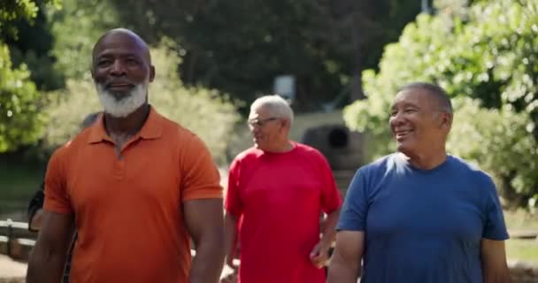 フィットネス シニアの男性は 新鮮な空気と運動のために屋外公園やフィールドで歩いています 健康と健康のための庭で心臓のワークアウトを持つ高齢男性の友人のスポーツ 多様性とグループ — ストック動画