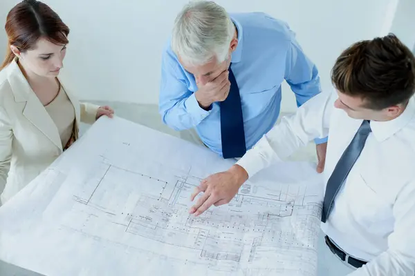 Blueprint, architecture or top view of team planning project, maintenance or renovation in meeting. Civil engineering, people building or group of designers with floor plan for property development.