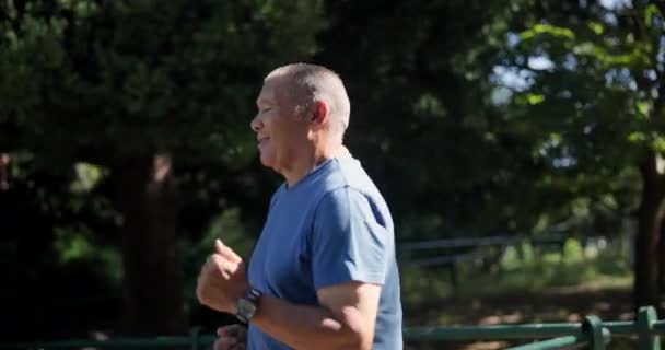 Laufen Fitness Und Senioren Park Für Bewegung Marathontraining Und Workout — Stockvideo