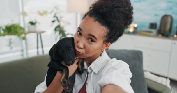 Kvinna Hund Och Husdjur Eller Nöjd Med Selfie För Profilbild — Stockvideo