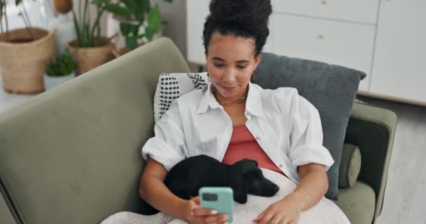 应用程序和快乐的女人与狗在沙发上社交媒体 放松或在家里看书 在屋里发短信时 智能手机 宠物和女人都会带着小狗 亲密或安慰坐在客厅里 — 图库视频影像