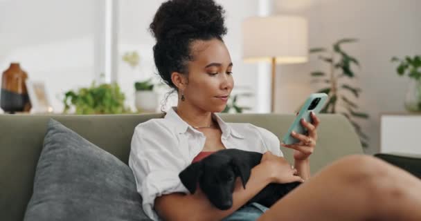 搜索和快乐的女人与狗在沙发上社交媒体 放松或在家里看书 在屋里发短信时 智能手机 宠物和女人都会带着小狗 粘合或安慰坐在客厅里 — 图库视频影像