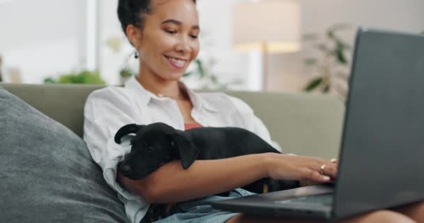 远程工作者 笔记本电脑以及带着狗躺在沙发上的妇女在网上与客户 反馈或交流时可以得到安慰 自由撰稿人 宠物作家和女作家与宠物狗一起在客厅里查看邮件 — 图库视频影像