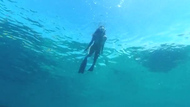 在海洋 水下或水中的气泡中潜水或游泳 以获得热带生态 生态系统中天然海藻的人身 海洋和勘探者与可持续植物的锻炼 — 图库视频影像