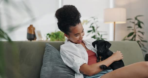 Mujer Relájate Con Amor Cachorro Mascota Casa Calma Paz Con — Vídeo de stock