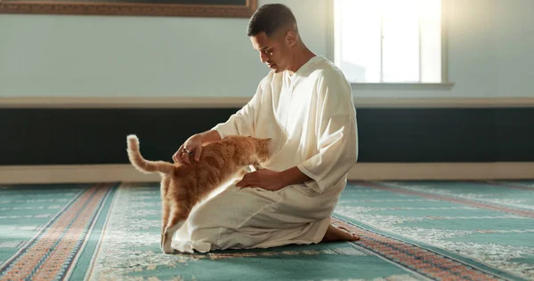 Gato Islámico Hombre Con Mascota Una Mezquita Para Oración Paz —  Fotos de Stock