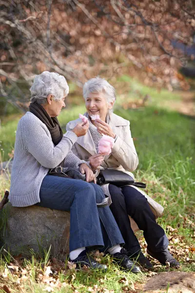 Elderly women, happy and snack in park with candy floss, eating and together to relax on retirement in outdoor. Senior friends, smile and junk food on vacation in countryside and bonding in nature.