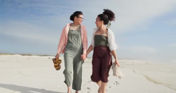 朋友们 在海滩上散步和嬉笑度假 在大自然中照料和滑稽的笑话 为户外的结合 在开普敦 女人在沙滩上谈天说地 在阳光下一起游览风景 — 图库视频影像