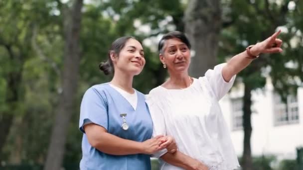 Opiekun Starsza Kobieta Rozmawiać Chodzić Przyrodzie Społecznej Przyjaźni Zewnątrz Wellness — Wideo stockowe