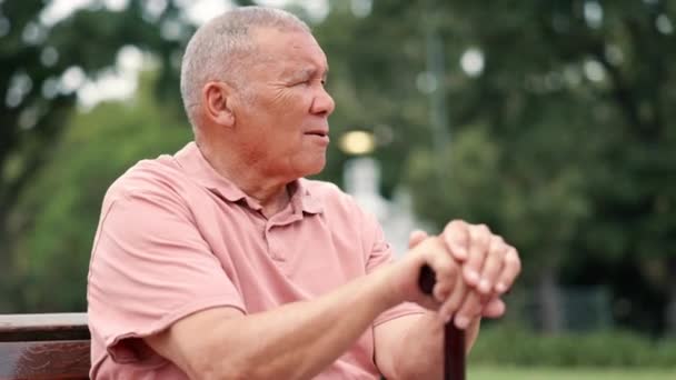 Starší Muž Přemýšlející Chodící Hůl Pro Zotavení Venku Odpočívat Přemýšlet — Stock video
