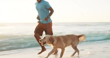 Siyahi adam, plaj ve spor yaparken köpekle koşmak sağlık ve sağlık için. Güneş doğuyor, gülümsüyor ya da evcil labradoru olan mutlu Afrikalı spor yapıyor ya da denizde kumda koşuyor..