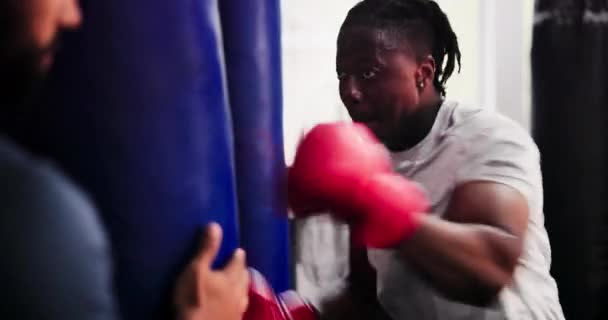 코치와 권투를위한 피트니스 Mma에서 체육관 싸움과 스포츠 운동을 강력한 트레이너 — 비디오