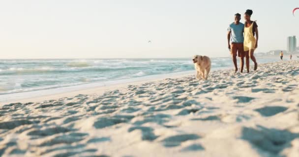 ビーチ カップルは 楽しみ 遊びや冒険のために自然の中で犬と一緒に歩いています ゲーム 新鮮な空気のために海で子犬ラブラドールを持つエネルギー アフリカの人々 — ストック動画
