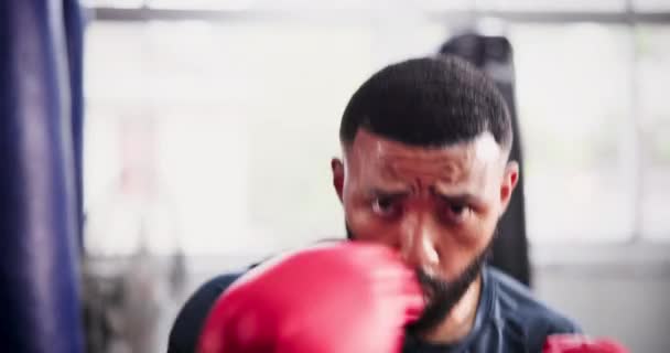 Černoch Bojovník Boxerské Rukavice Sebeobraně Mma Nebo Trénink Bojových Umění — Stock video