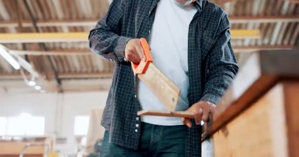 Serra Madeira Carpinteiro Oficina Com Ferramentas Processo Construção Garagem Closeup — Vídeo de Stock