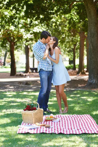 Couple, park and kiss in nature at picnic with love under the trees and enjoying romance in the summer sun. Cheerful, special and outdoor as partners and bonding with trust, care and commitment.