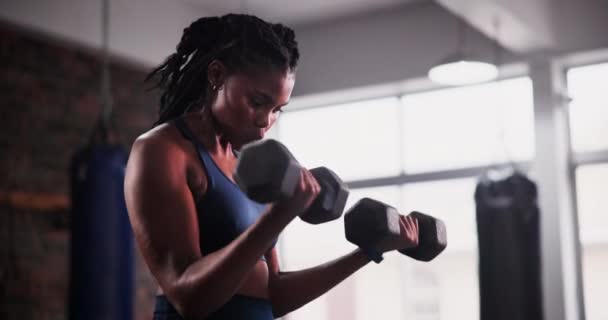 強さまたは腕のトレーニングのためのジムで黒い女性 ダンベルおよび重量挙げ スポーツフィットネスでアクティブなアフリカの女性 スポーツ選手やボディービルダー ヘルスクラブでの筋肉の利益やトレーニング — ストック動画