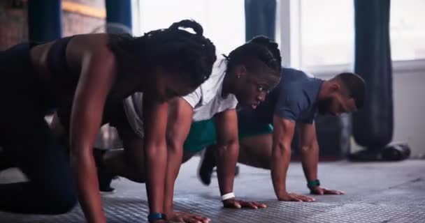 腹部トレーニングのためのジムでのトレーニングとフィットネス プランク グループ スポーツ マウンテンクライマー スタジオで胃筋運動をしているアスリートのチーム — ストック動画