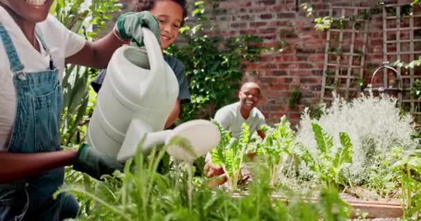 Tuinieren Glimlachen Gelukkig Met Zwarte Familie Het Voorjaar Samen Voor — Stockvideo