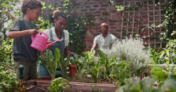 Moeder Zoon Planten Achtertuin Met Tuinieren Voor Duurzaamheid Groei Besproeiing — Stockvideo