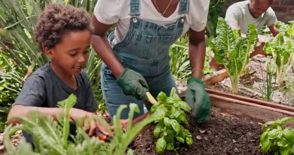 Familia Jardín Verduras Con Niño Plantas Naturaleza Con Empoderamiento Desarrollo — Vídeos de Stock
