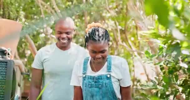 Tuin Wandelen Gelukkig Zwart Echtpaar Natuur Met Liefde Gesprek Hechting — Stockvideo