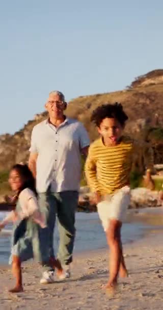 祖父和孩子们在海滩度假或冒险时拥抱父母 快乐的家庭 五年级的孩子和爷爷 爸爸或孩子们在海洋中拥抱 享受大自然的结合 放松或欢乐 — 图库视频影像