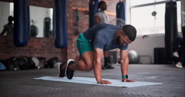 跳板和登山运动员与男子一起在健身房进行健康 健康和腹部运动的核心训练 精力和男性运动员在演播室进行腹部肌肉锻炼以获得力量 — 图库视频影像