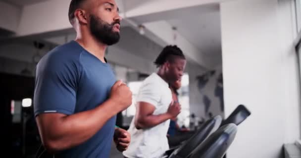 在健身房跑步机上跑步进行锻炼 训练和锻炼 并接受问责 速度和身体耐力固定机上的会员 男子或跑步者 — 图库视频影像
