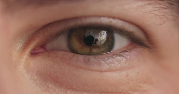 Osoba Zrak Sítnice Detailním Záběrem Očí Pro Optometrii Vyšetření Glaukomu — Stock video