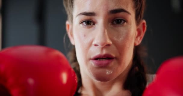 Kvinna Ansikte Och Boxning Med Träning Svettning Och Träning För — Stockvideo