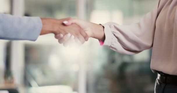 レンズフレアのオフィスでのコラボレーションのための取引 パートナーシップ およびハンドシェイク 握手と紹介 歓迎と一緒に挨拶 — ストック動画