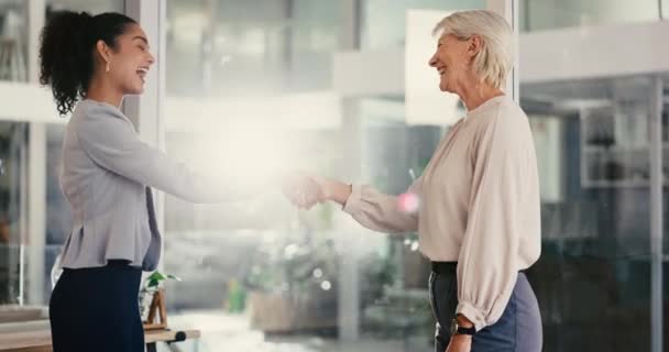 レンズフレアの紹介 挨拶のためのエウロとハッピー ビジネス女性と握手 マネージャー 握手し パートナーシップ オフィスでのコラボレーションの機会のための取引 — ストック動画