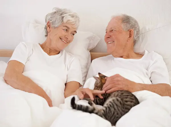 成熟したカップル 結合のためのベッドと猫 笑顔とカドルのために朝に抱擁し シニア男性 キティペット 幸せで退職して 自宅の寝室で結婚や老人を楽しむ — ストック写真