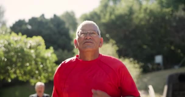 Fitness Saúde Homem Idoso Parque Para Corrida Treinamento Cardio Manhã — Vídeo de Stock
